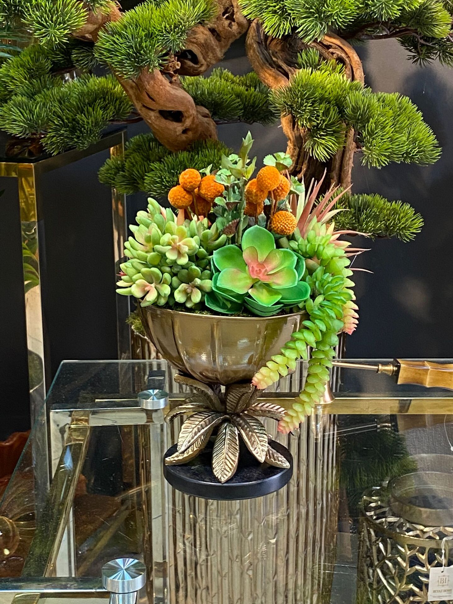 Vazo (sukulentli) 33 cm