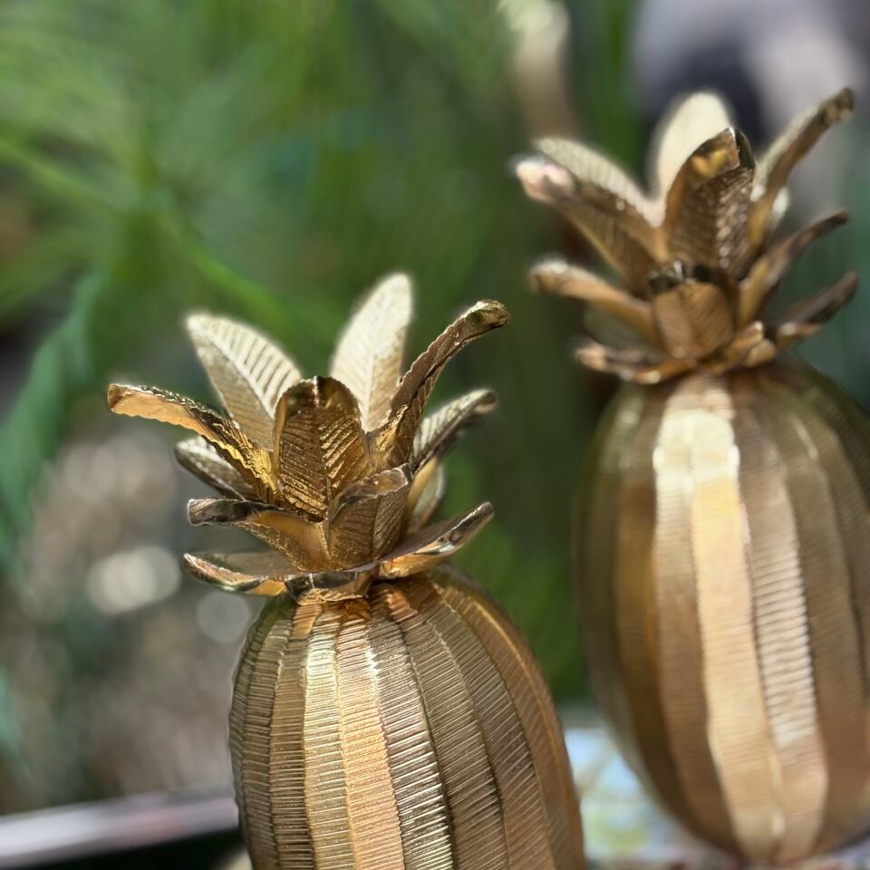 Ananas Döküm 2li