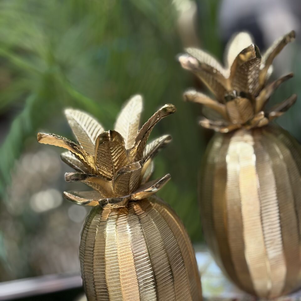 Ananas Döküm 2li