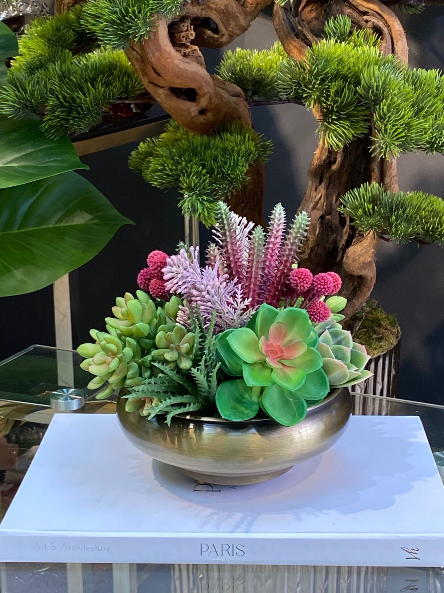 Vazo (sukulentli) 21*19 cm