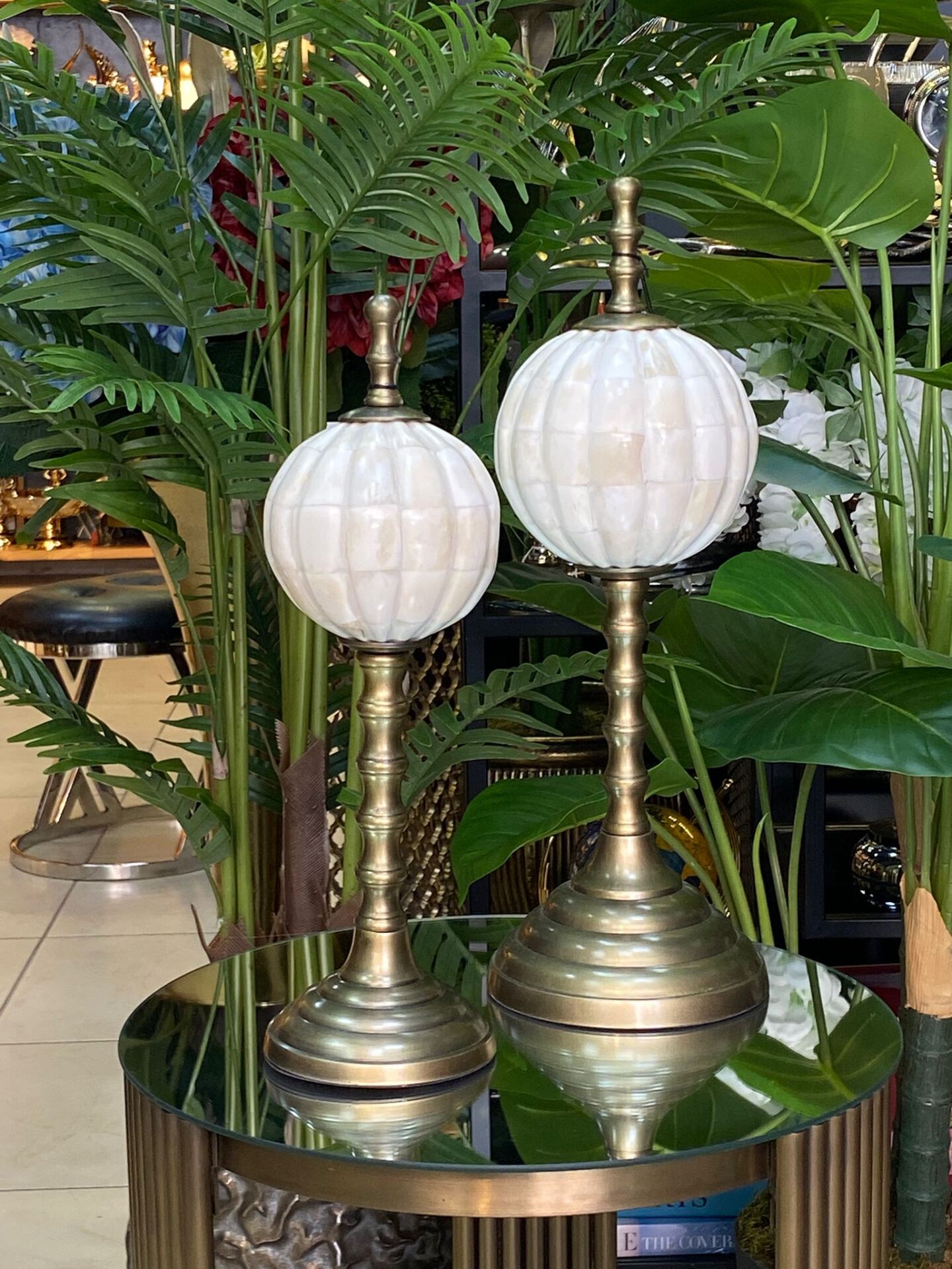 Alem Kemik 2 li (İthal) 46-40 cm