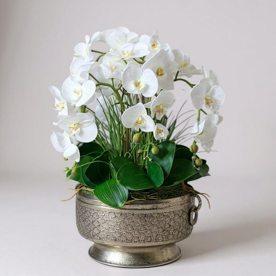 Orkide (yapay) Lüx 5 dal 66 cm