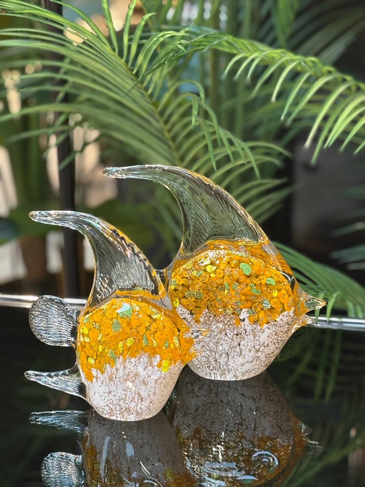 Cam 2'li balık (İthal)