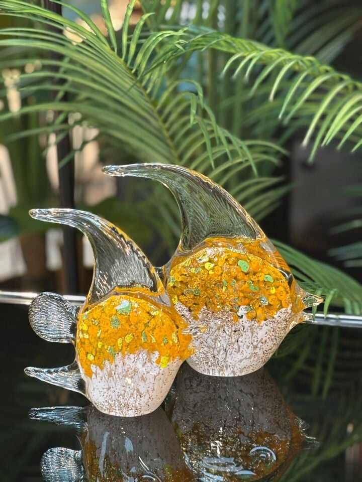 Cam 2'li balık (İthal)