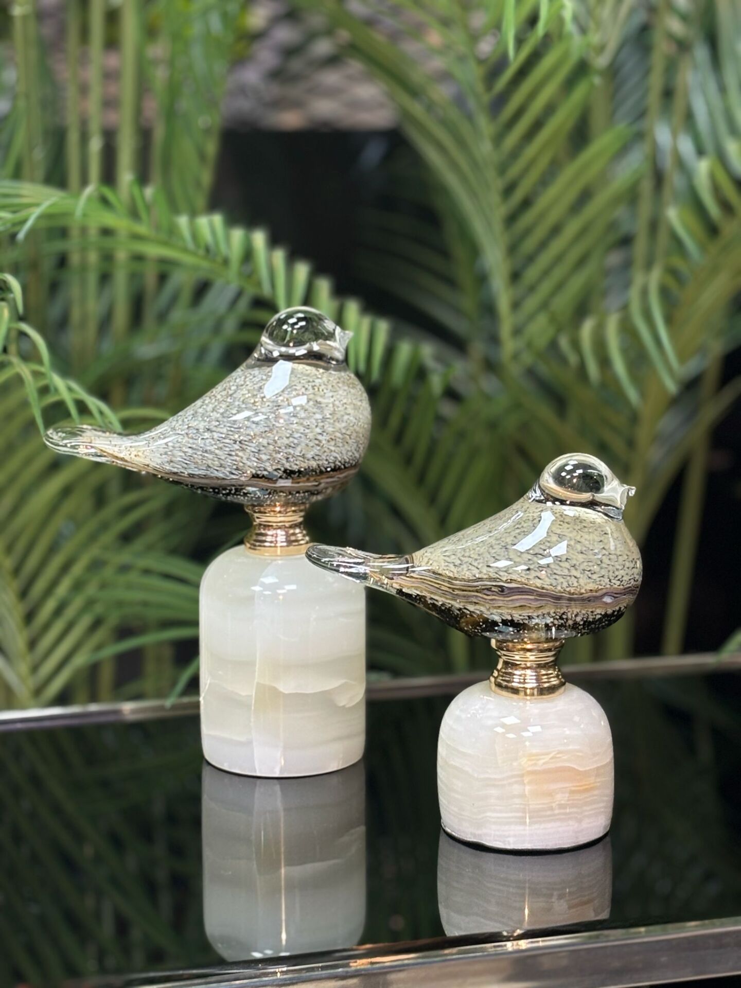 Cam 2'li Kuşlar (İthal) 17-22 cm