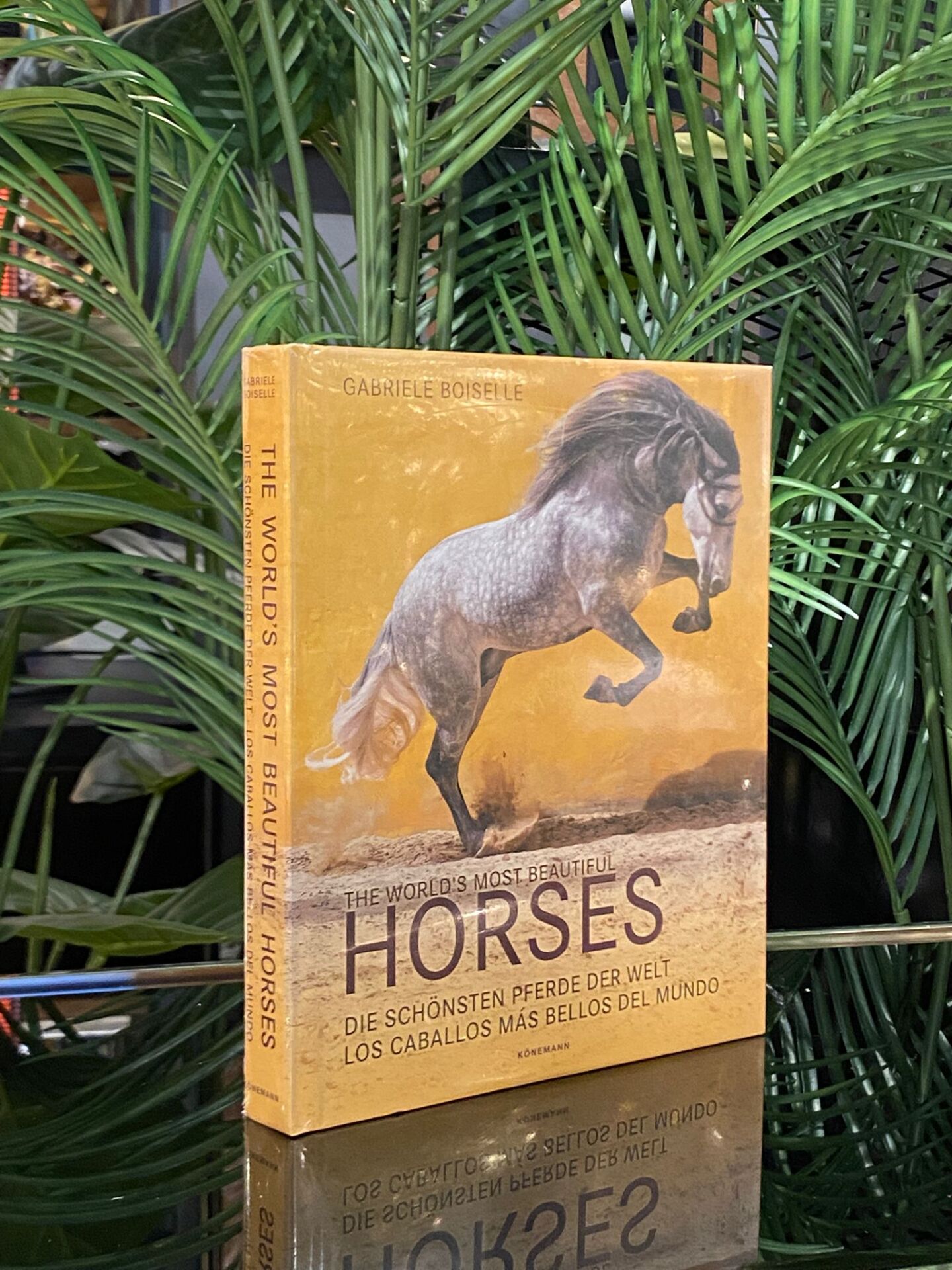 The World's Most Beautiful Horses (21*25,5 cm)