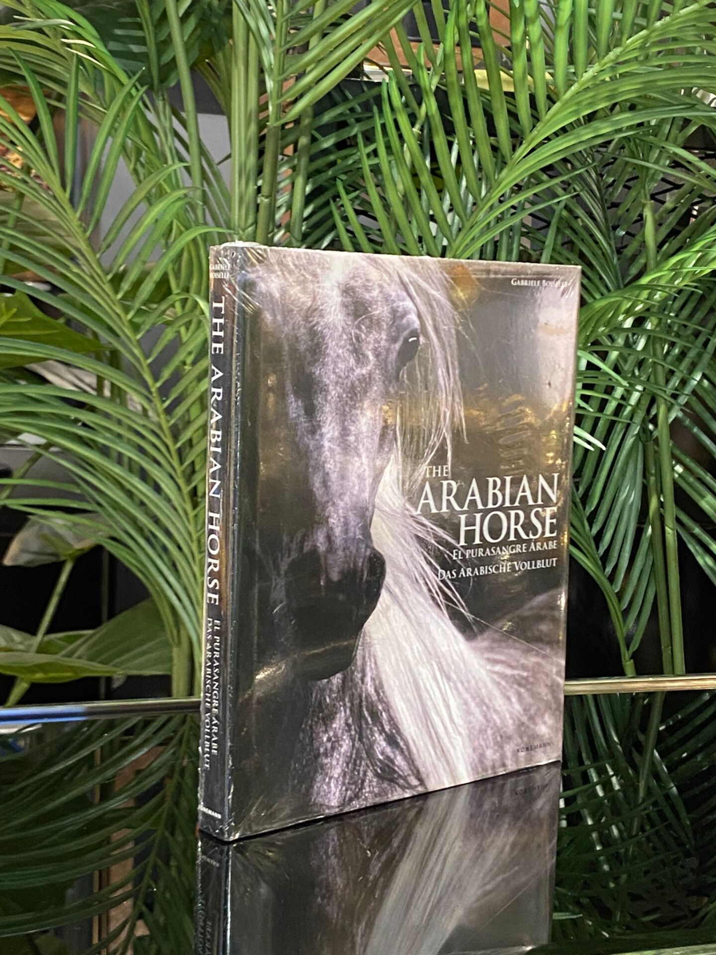 The Arabian Horse (21*25,5 cm)