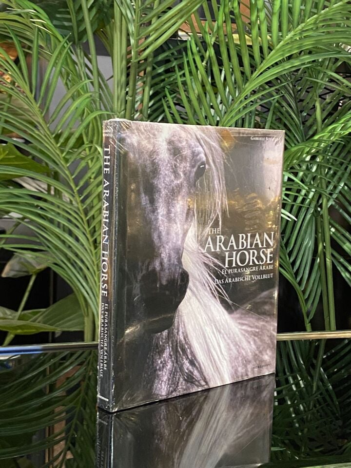 The Arabian Horse (21*25,5 cm)