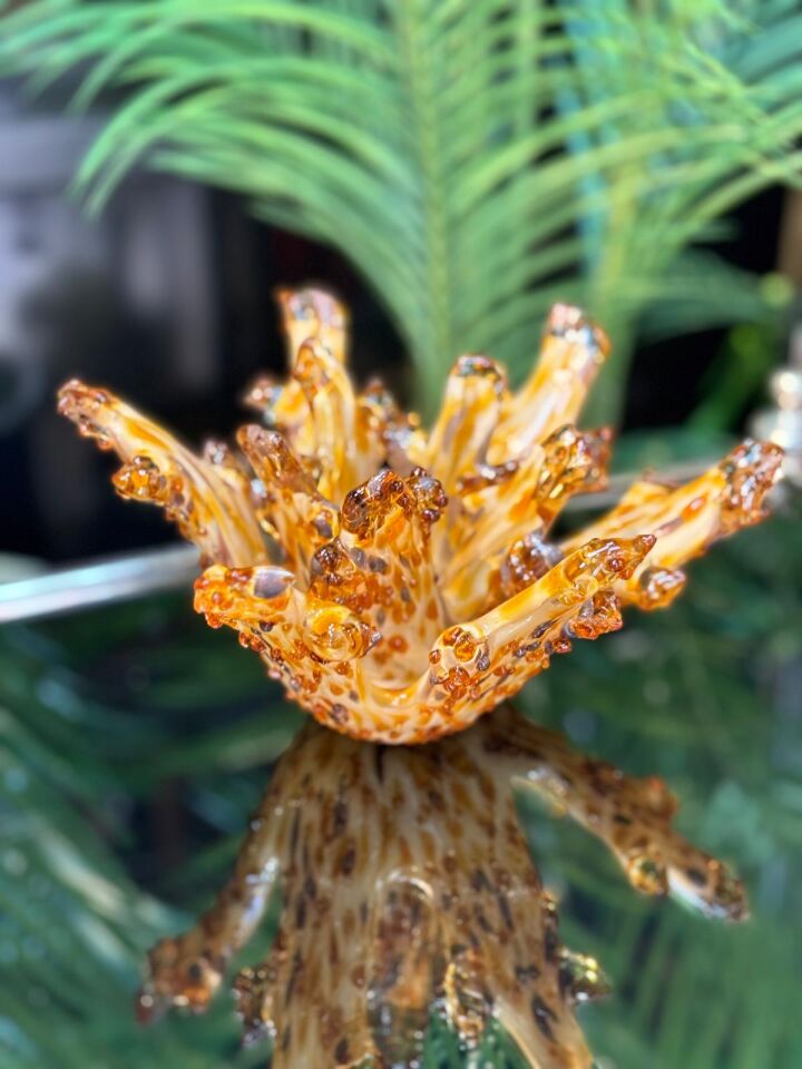 Sıcak Cam Mercan 22*13 cm