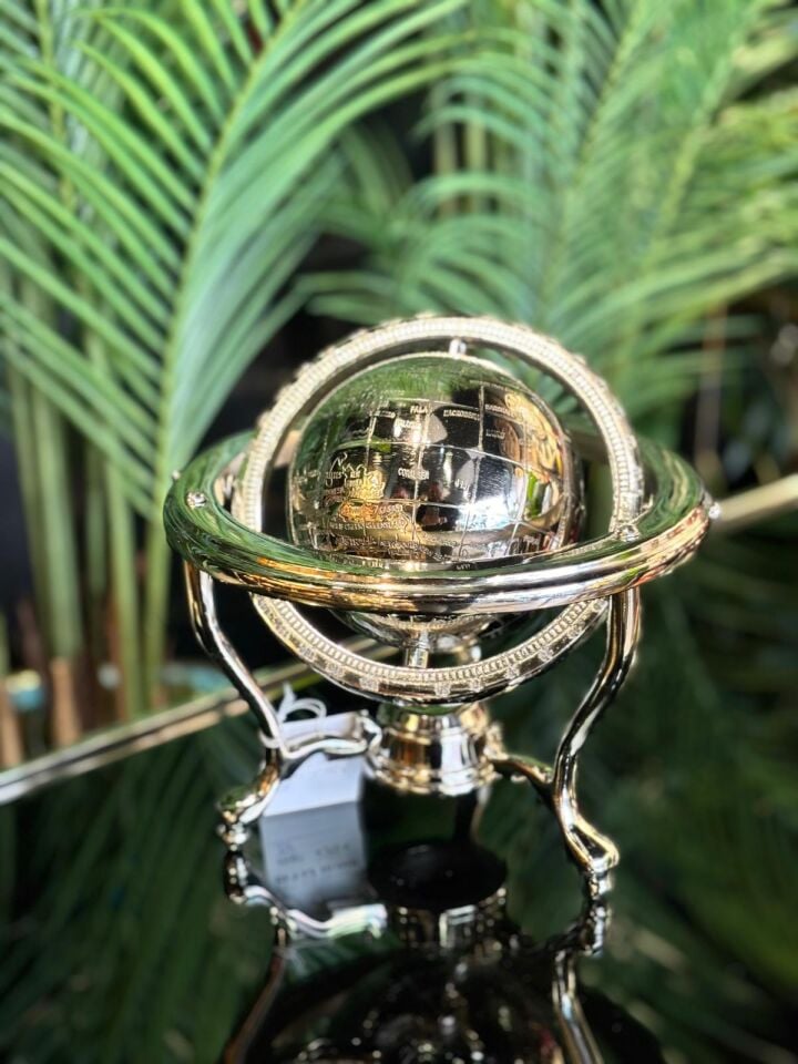 Dünya (Gümüş)20*22cm